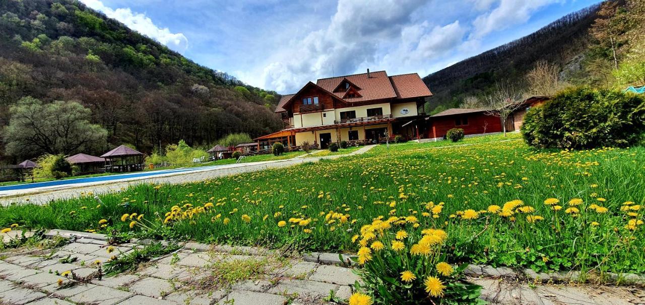 Pensiunea Casiana Ciulpăz Extérieur photo